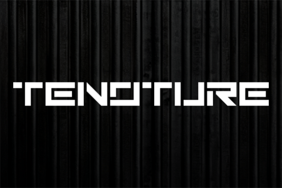 Experience Tenoture in Web Design